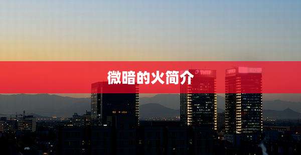 微暗的火简介