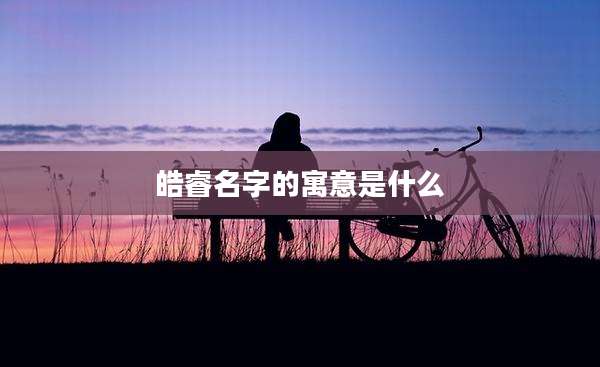 皓睿名字的寓意是什么