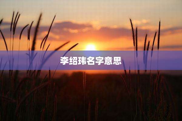 李绍玮名字意思