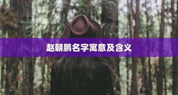 赵朝鹏名字寓意及含义