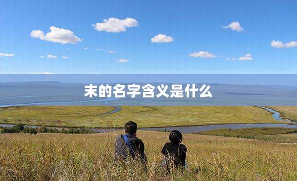 末的名字含义是什么