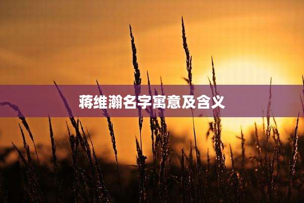 蒋维瀚名字寓意及含义