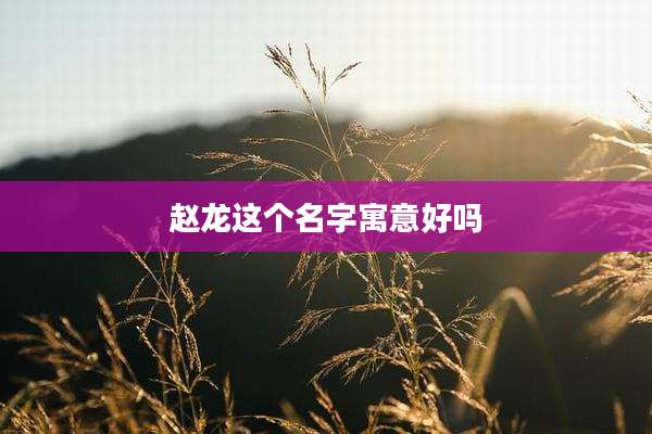 赵龙这个名字寓意好吗
