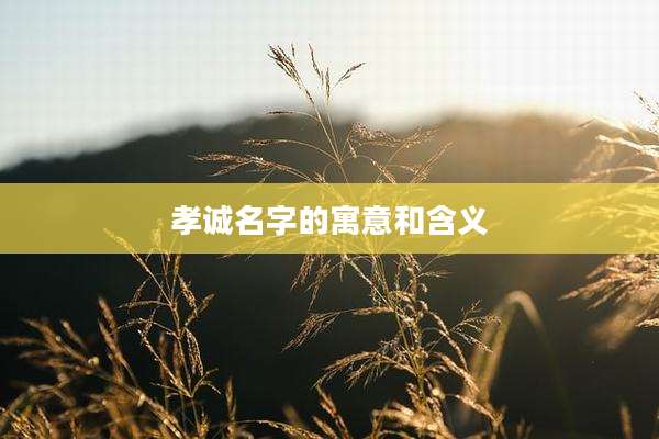 孝诚名字的寓意和含义