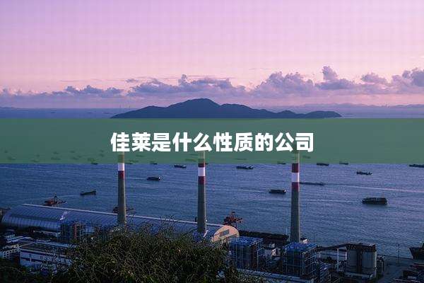 佳莱是什么性质的公司