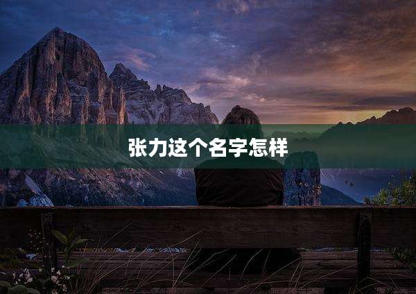 张力这个名字怎样