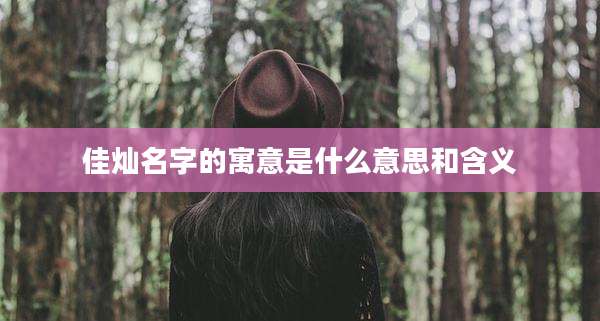 佳灿名字的寓意是什么意思和含义