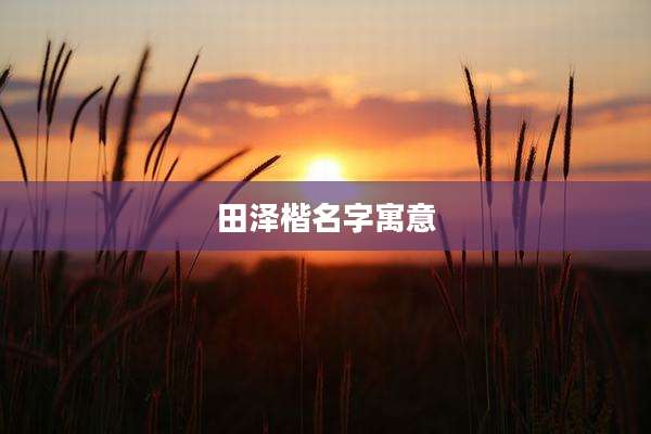 田泽楷名字寓意