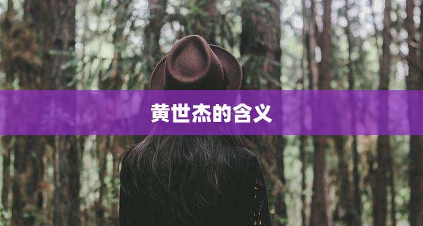 黄世杰的含义