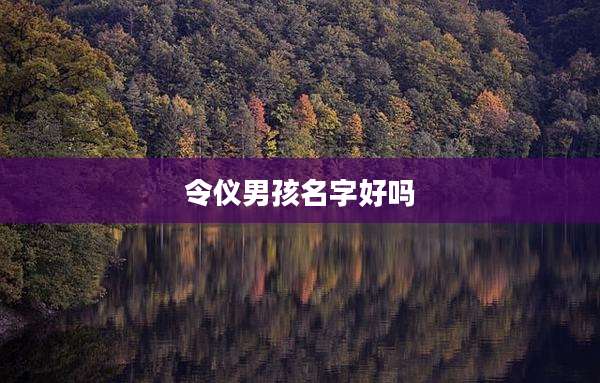 令仪男孩名字好吗