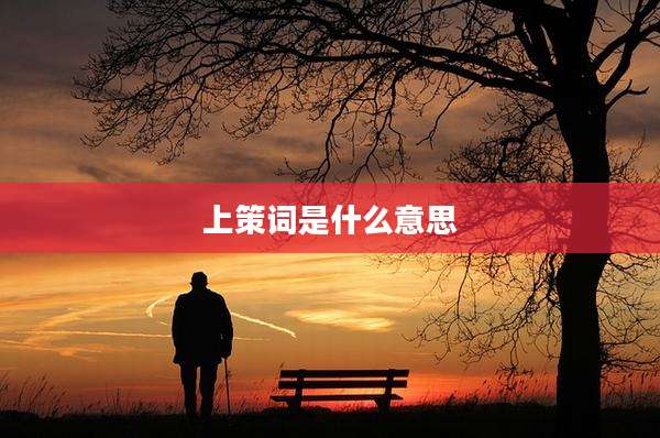上策词是什么意思