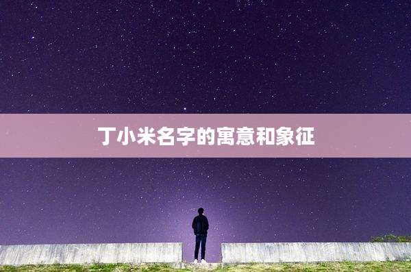 丁小米名字的寓意和象征