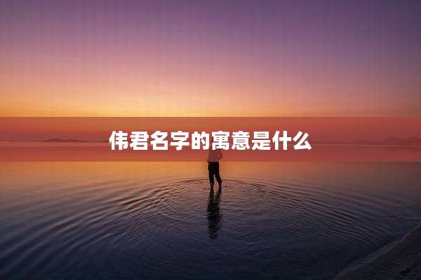 伟君名字的寓意是什么