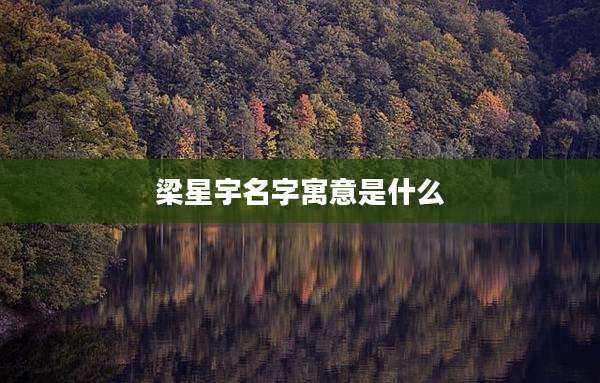 梁星宇名字寓意是什么