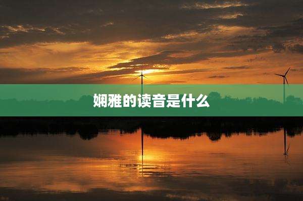 娴雅的读音是什么