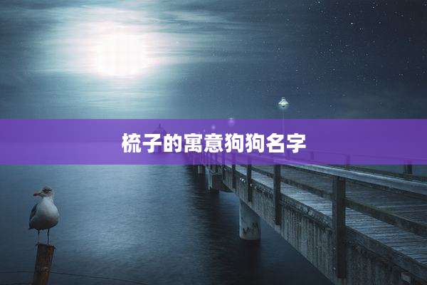 梳子的寓意狗狗名字