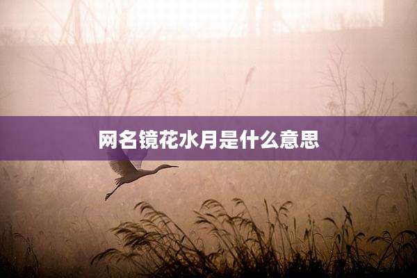 网名镜花水月是什么意思