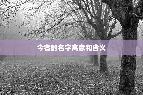 今睿的名字寓意和含义