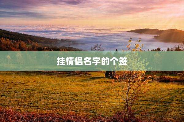 挂情侣名字的个签