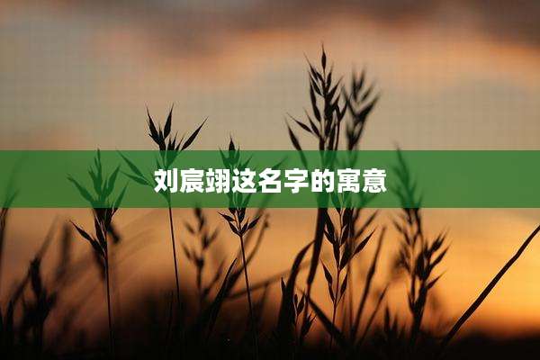 刘宸翊这名字的寓意