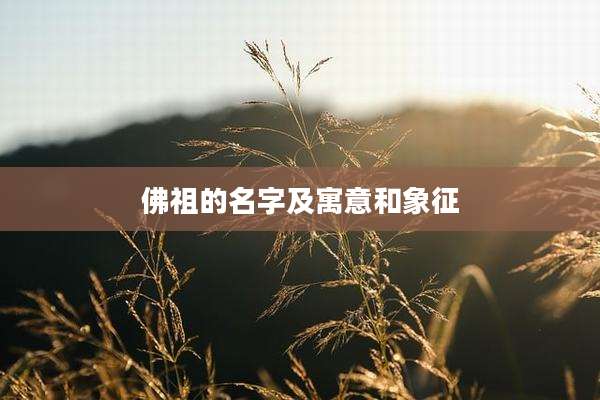 佛祖的名字及寓意和象征