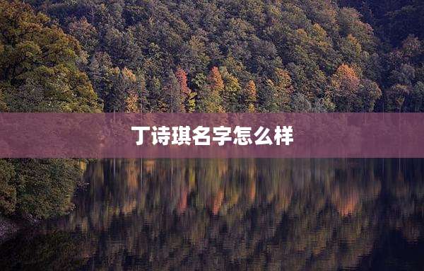 丁诗琪名字怎么样