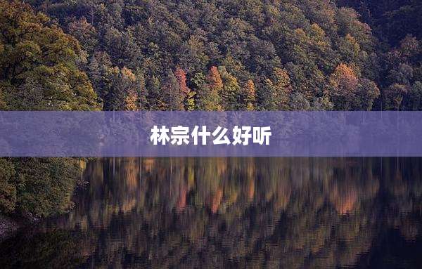 林宗什么好听