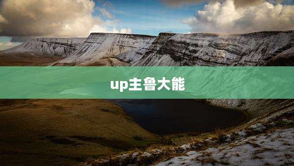 up主鲁大能