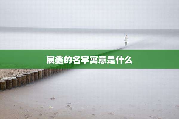 宸鑫的名字寓意是什么