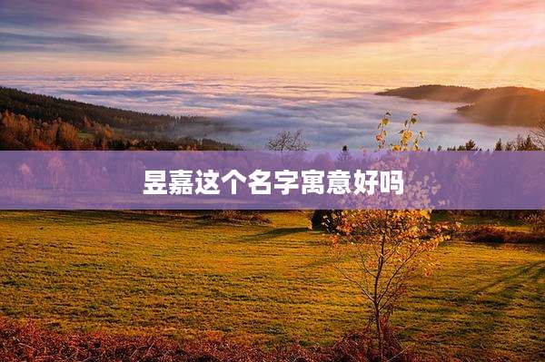 昱嘉这个名字寓意好吗