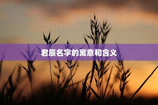 君辰名字的寓意和含义