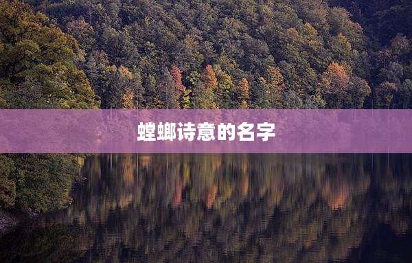 螳螂诗意的名字