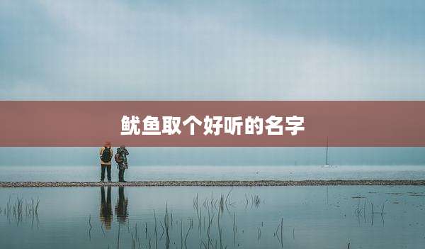 鱿鱼取个好听的名字