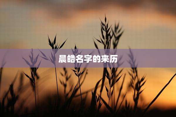 晨皓名字的来历