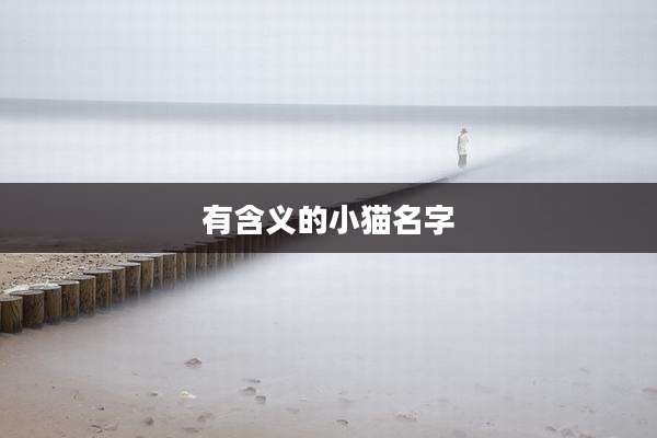有含义的小猫名字