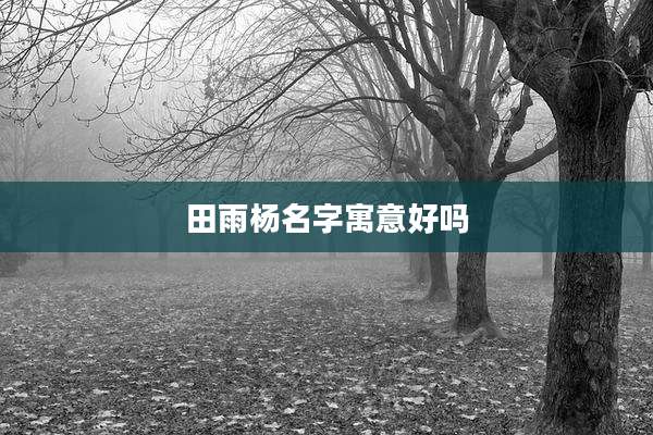 田雨杨名字寓意好吗