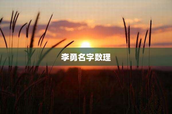 李勇名字数理
