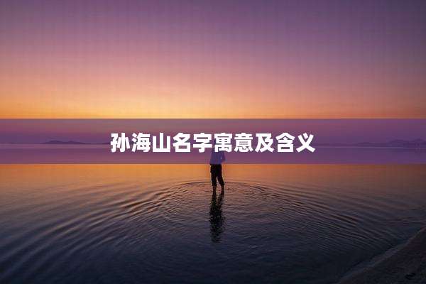 孙海山名字寓意及含义