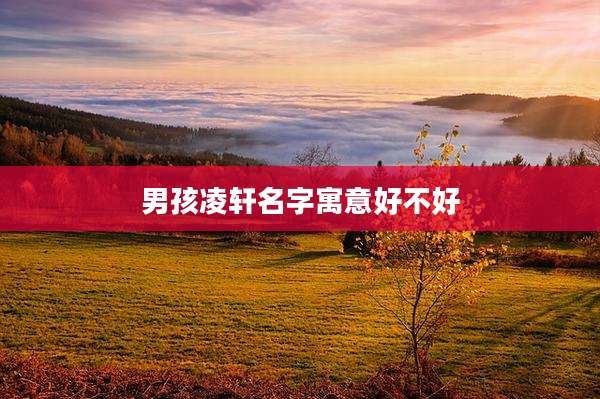 男孩凌轩名字寓意好不好