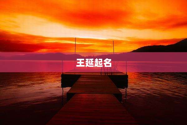 王延起名