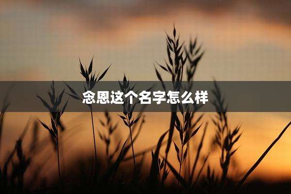 念恩这个名字怎么样