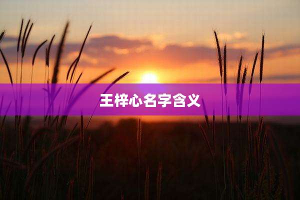 王梓心名字含义