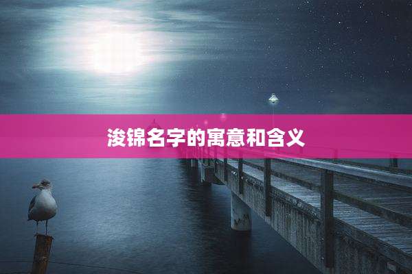 浚锦名字的寓意和含义