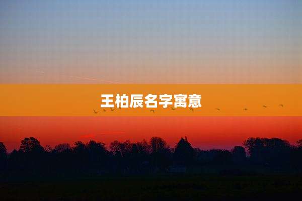 王柏辰名字寓意