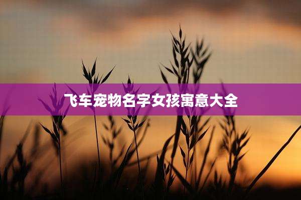 飞车宠物名字女孩寓意大全