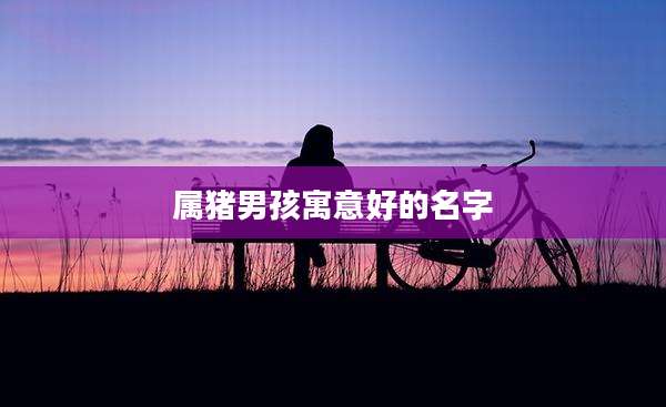 属猪男孩寓意好的名字