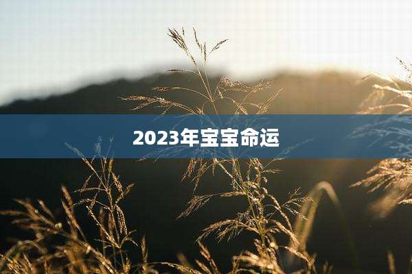 2023年宝宝命运