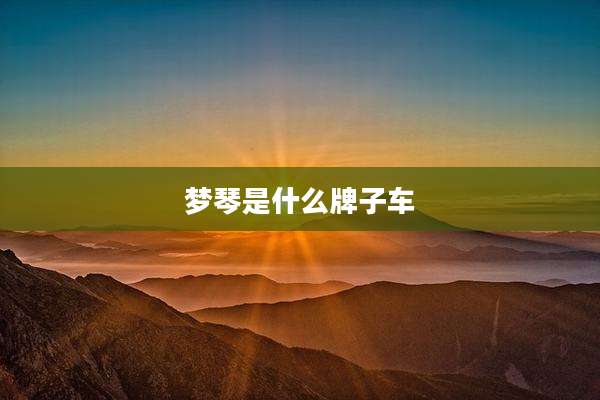 梦琴是什么牌子车