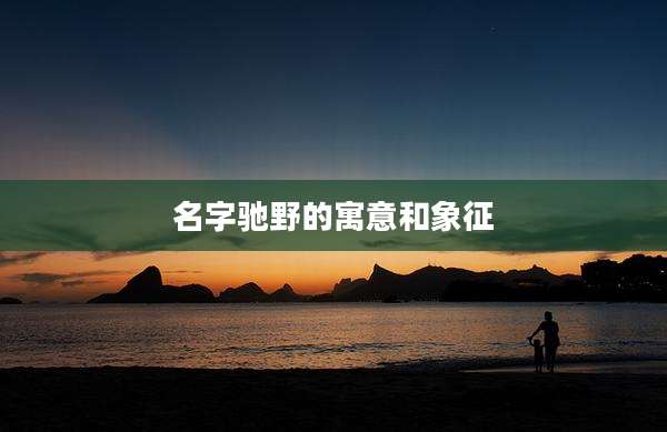 名字驰野的寓意和象征