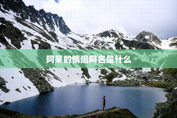 阿呆的情侣网名是什么